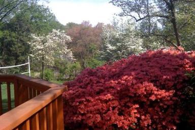 Building Photo - 9405 Locust Hill Rd