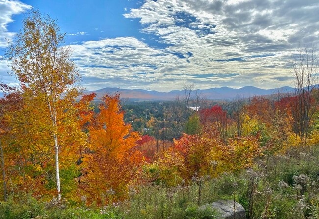 Building Photo - 63 Palisade Park Way
