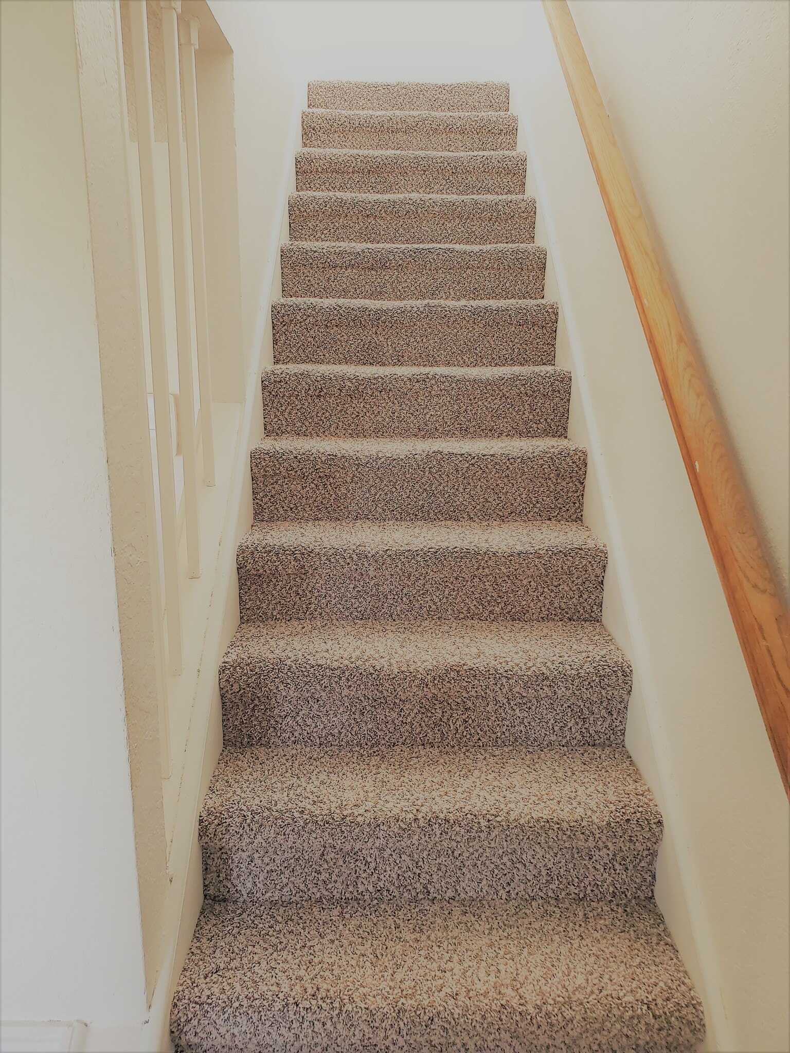 Brand new carpet on stairway to upstairs retreat, and in all bedrooms for comfort. - 2205 Chase Ct