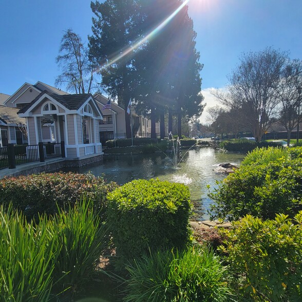 Stunning Pond - Crossing at Riverlake Apartments