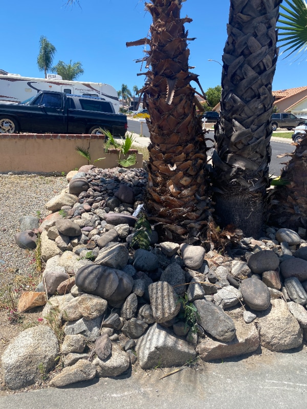 Building Photo - 16510 Mango Way