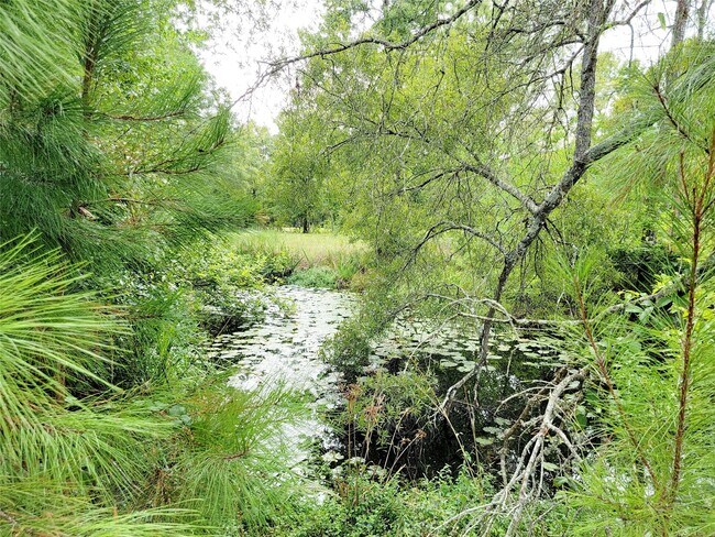 Building Photo - 15590 Magnolia Park