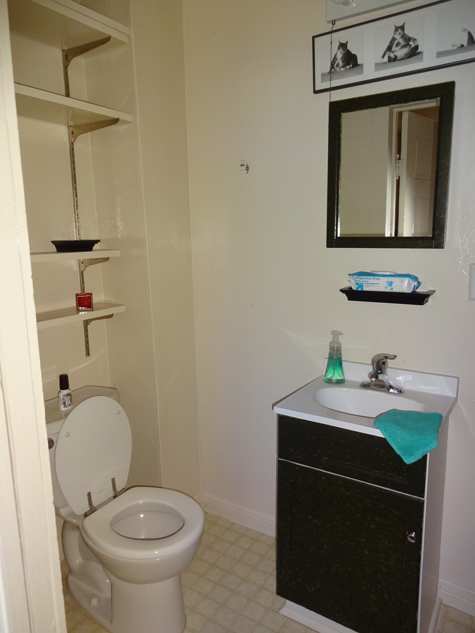 bathroom (2) - 1124 Almaden St