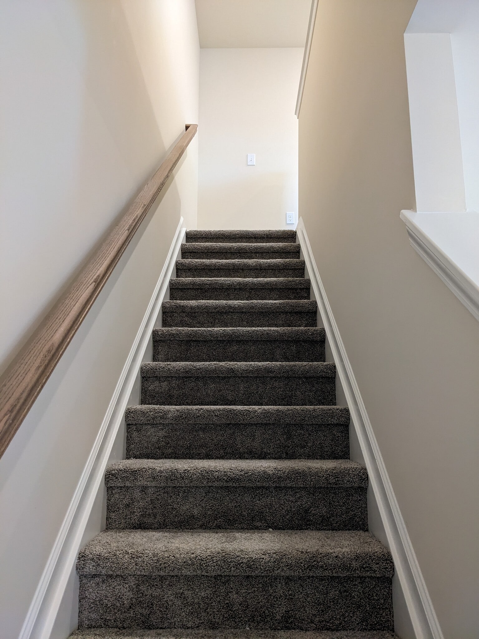 Carpeted stairs to 2nd floor - 877 McKenzie Park Ter