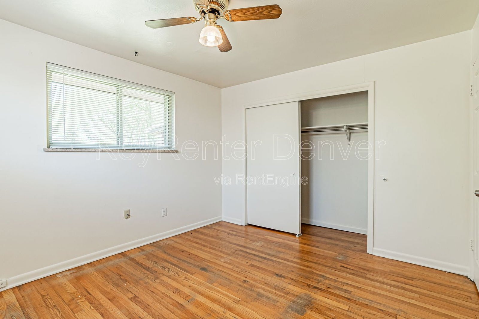 Building Photo - 57 Newland Ct