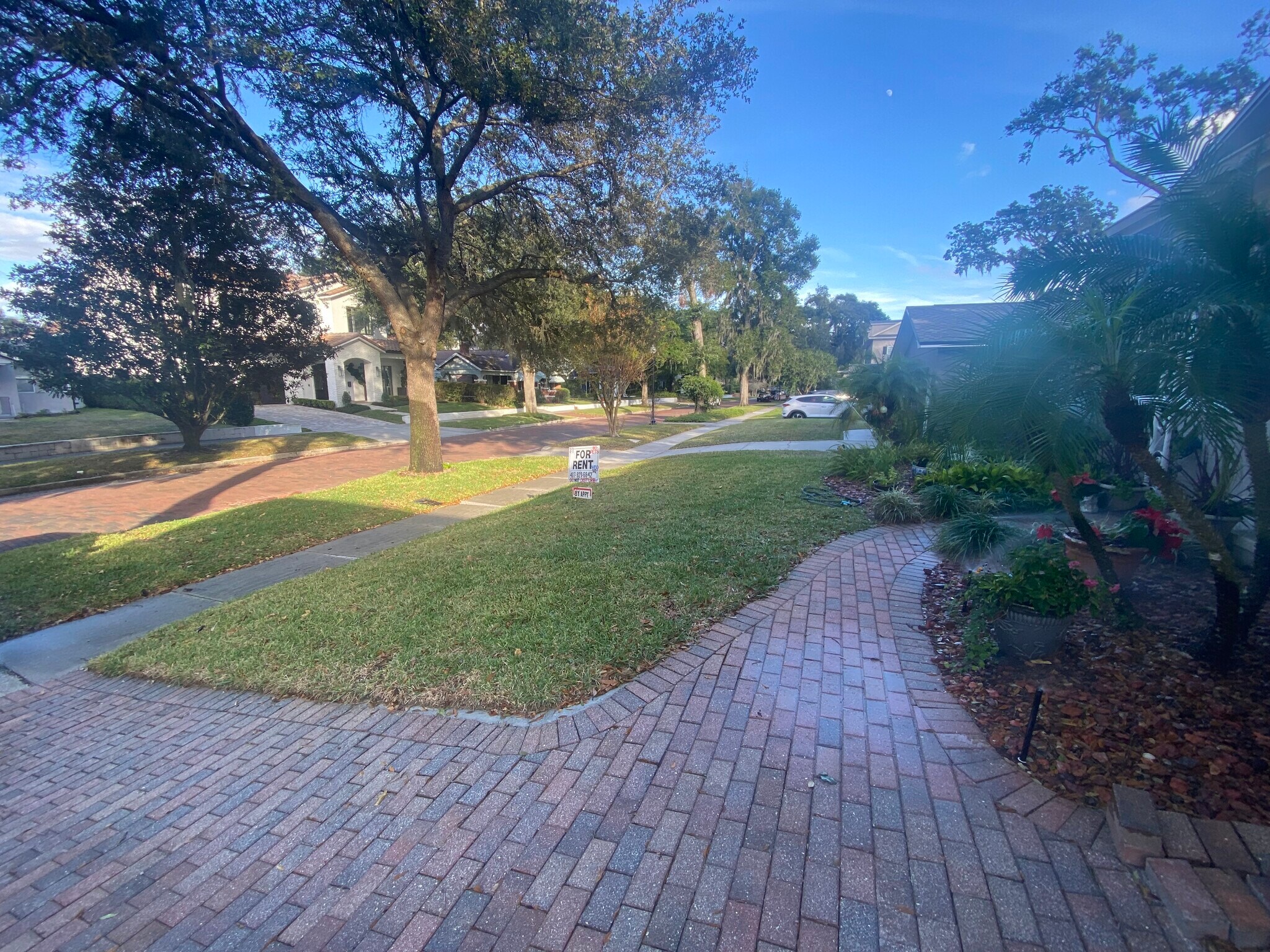 frontyard - 612 Stetson St