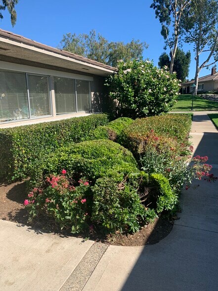 Approach - 5146 Maple