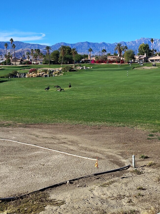 Building Photo - 42995 Texas Ave