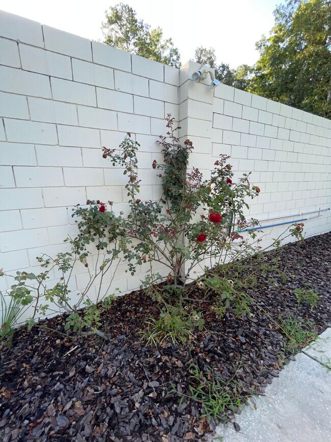 Building Photo - Mid-Century Modern Oasis on 5+ Acres – Pri...