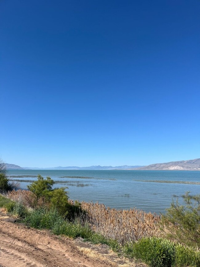 Building Photo - 3 Bedroom/2 Bathroom condo in Vineyard