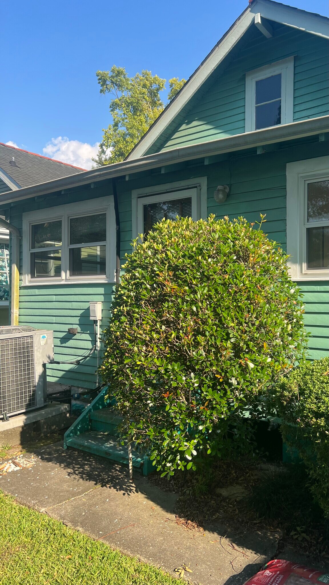 Back - 2537 Jasmine St