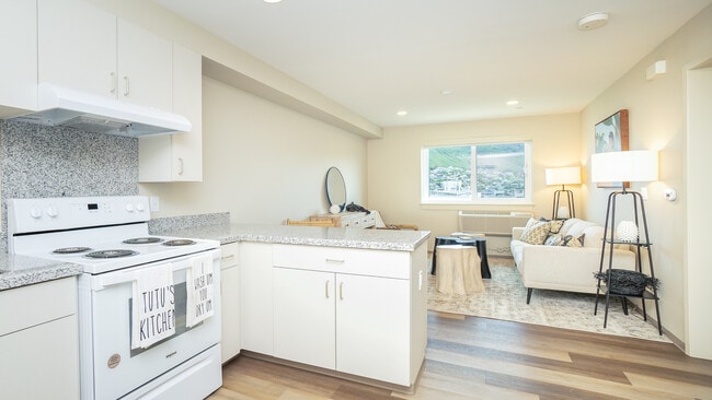 One Bedroom Kitchen - Hale Makana O Moiliili