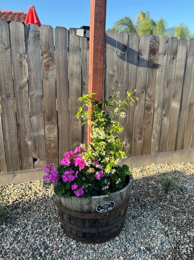 Building Photo - Karin's Kottage-New 2 Bedroom/2 Bath Furnished or Unfurnished Oasis for Lease