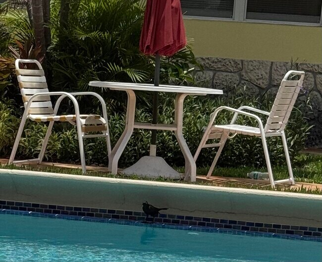 Building Photo - 4532 Bougainvilla Dr