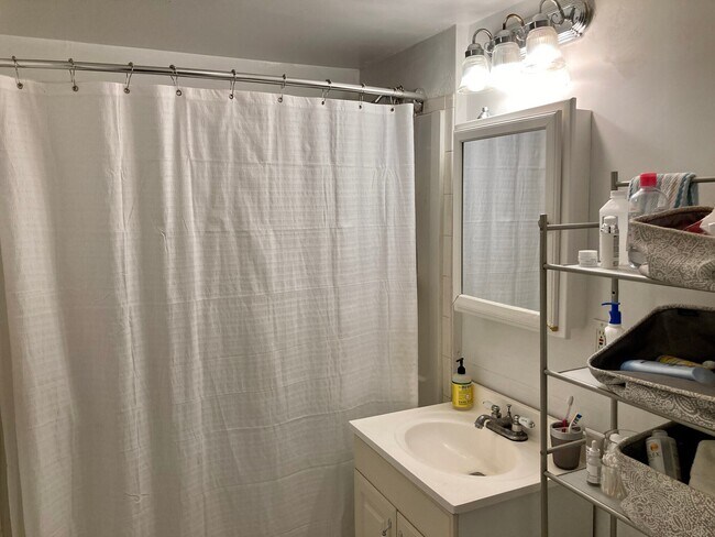 Building Photo - 56 Egmont St