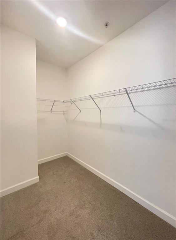 Building Photo - 12072 Via Caselli Ln