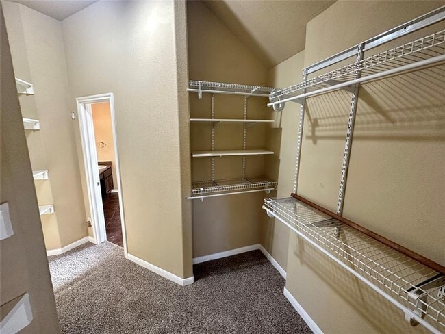 Building Photo - 3713 Broadwinged Hawk Cove