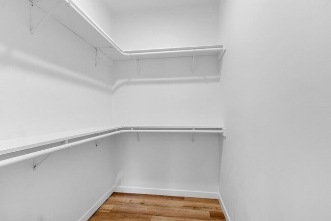 Building Photo - 2709 Sachet Pl