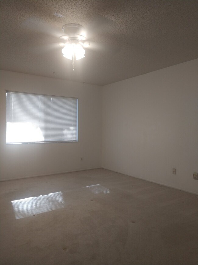 Building Photo - 2 Bedroom/2 Bath Palm Harbor Condo