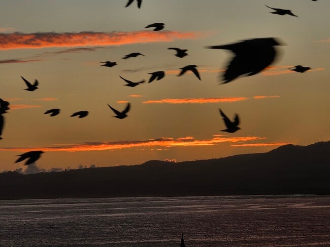 Building Photo - 1367 Kakae Pl