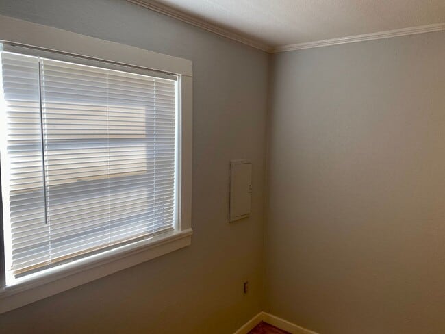 Building Photo - Amazing, Private 1/1 Located In Clearwater
