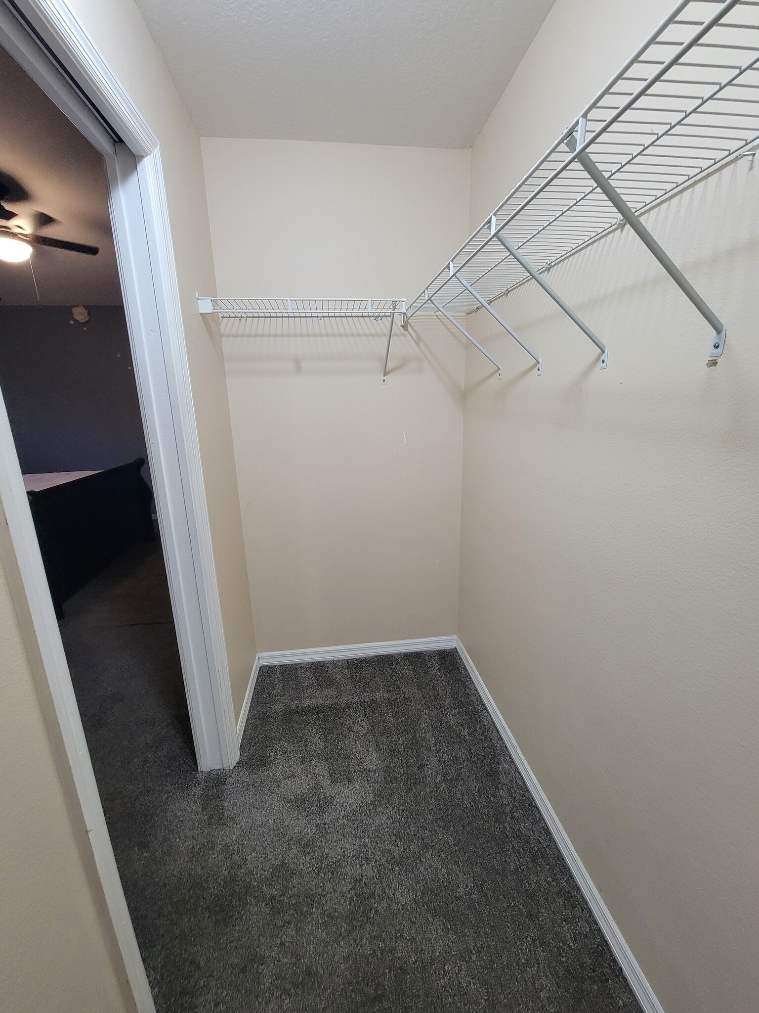 Building Photo - 2038 Blackston Ave