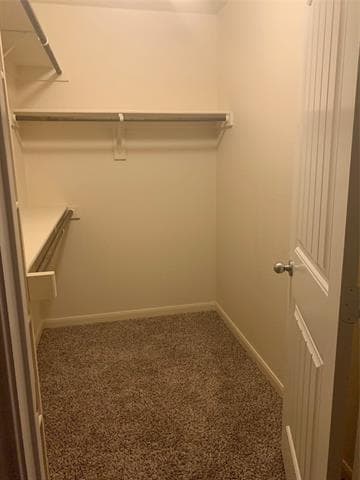 Building Photo - 4832 Pachuca Ct