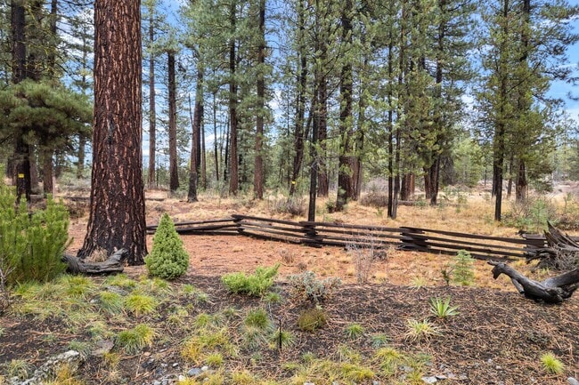 Building Photo - Unfurnished Peaceful River Retreat – Moder...