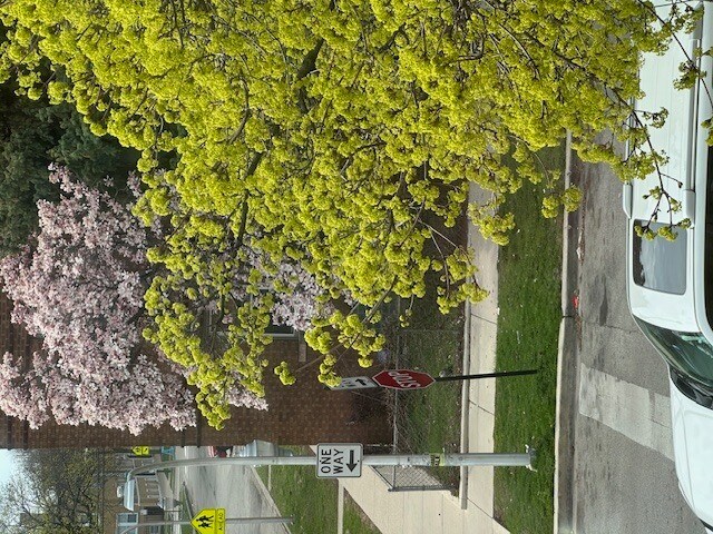 Building Photo - 4058 W Dickens Ave