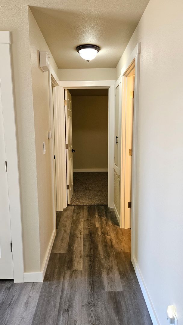 Building Photo - Newly Remodeled Edgewood Duplex with Scenic Views & Privacy