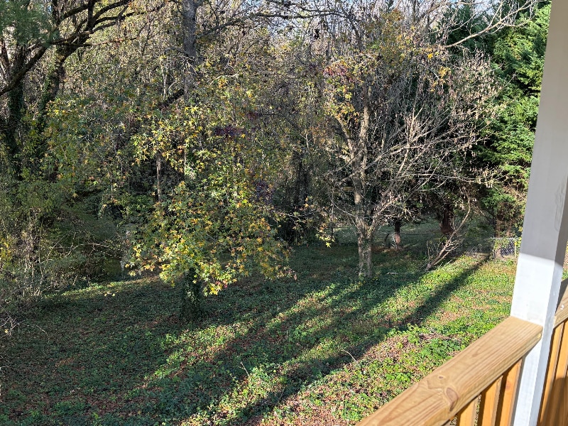 Building Photo - 10 Avon Rd