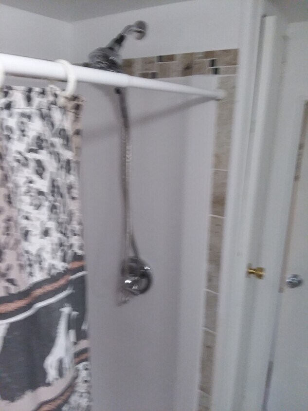walk in shower - 30531 Francis St