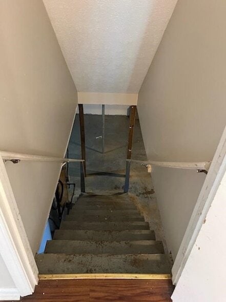 Building Photo - 1705 Cliff Ridge Ct