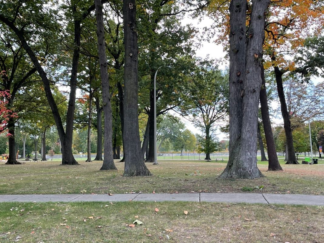 Building Photo - 1177 Connie