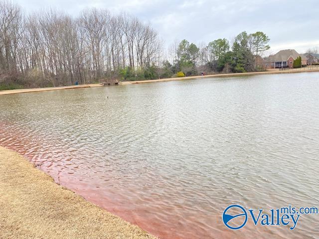 Building Photo - 275 Old Overton Dr