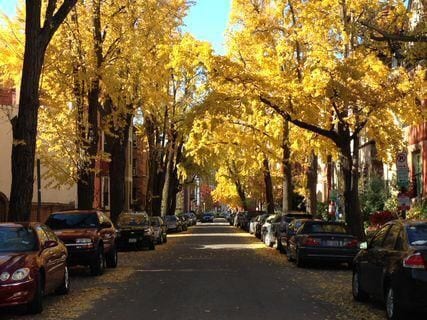 Building Photo - 1721 Riggs Pl NW