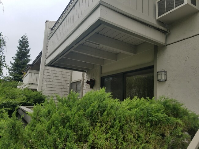 Building Photo - 1 Bed 1 Bath Condo In Walnut Creek