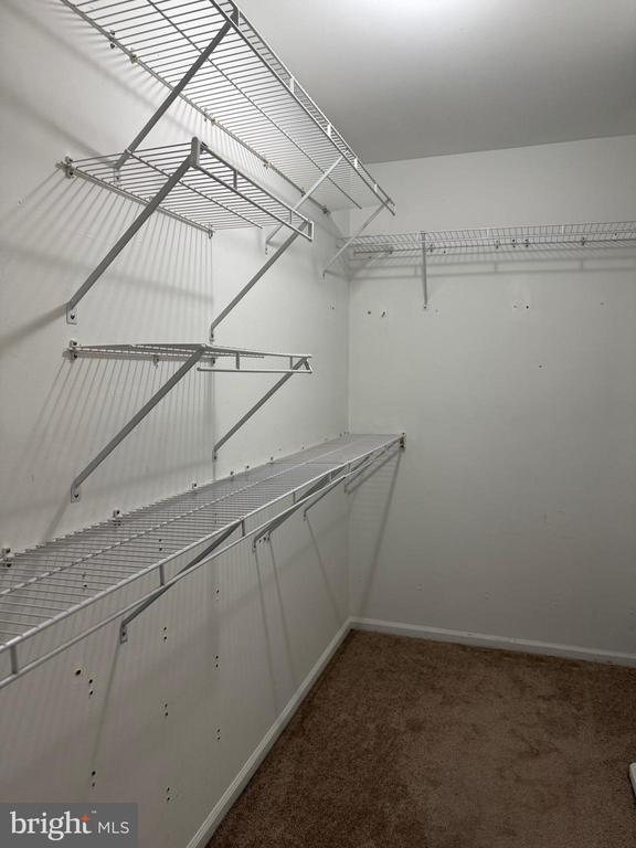 Building Photo - 293 Stanton Ct