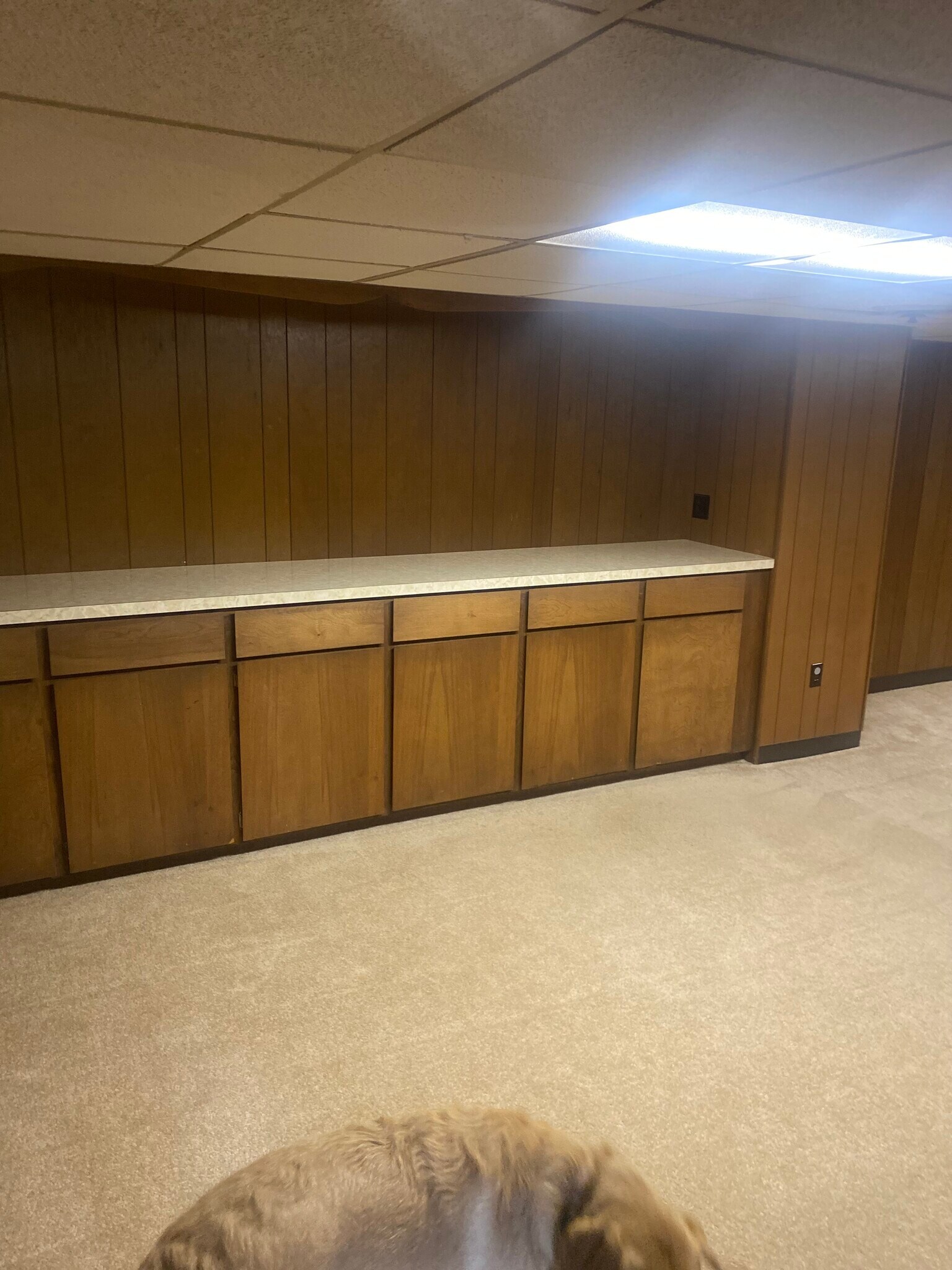 plenty of storage - 531 Atlantic St