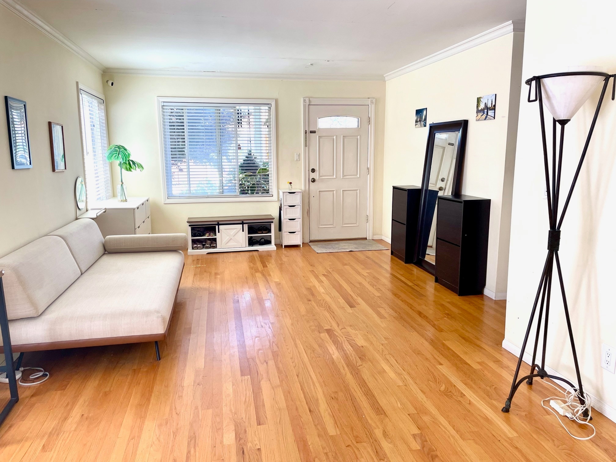 Entrance room - 1136 8th St