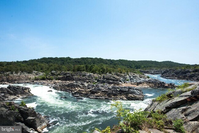 Building Photo - 11922 Holly Spring Dr