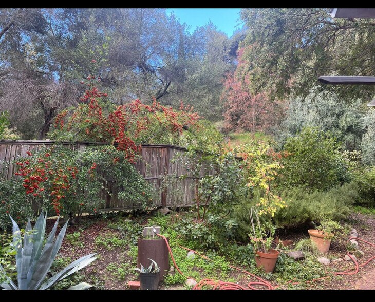 Building Photo - 1417 Old Topanga Canyon Rd