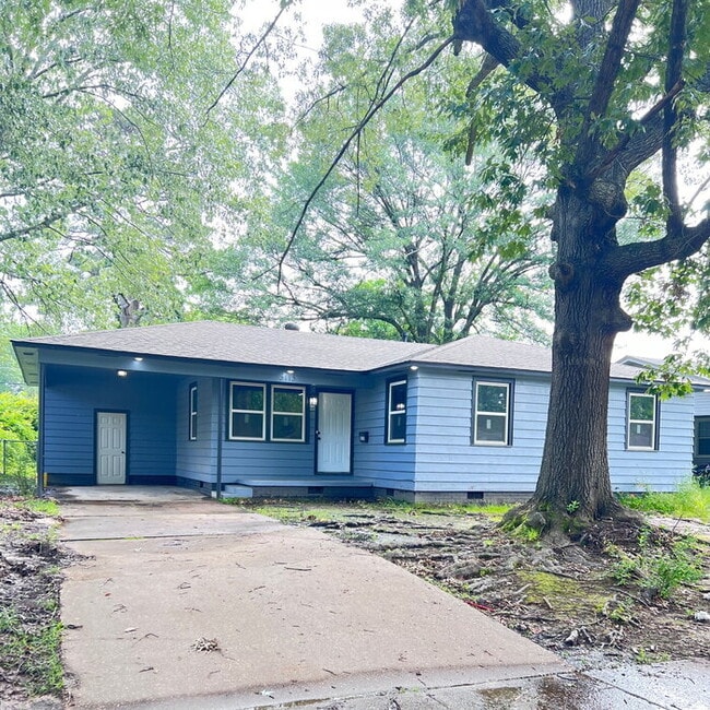 Primary Photo - 3113 Tulip St