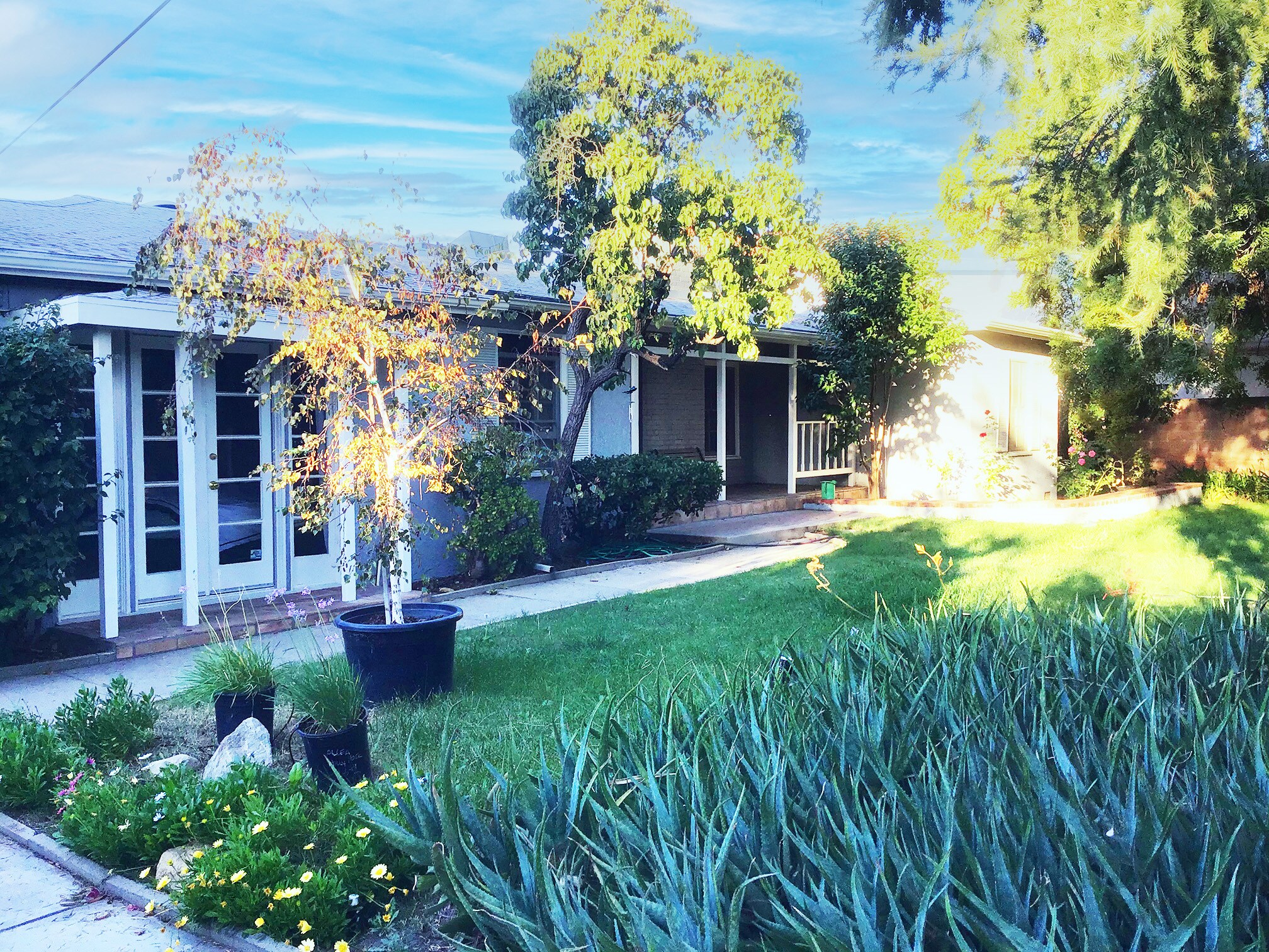 Primary Bedroom French Doors - 15341 Cohasset St