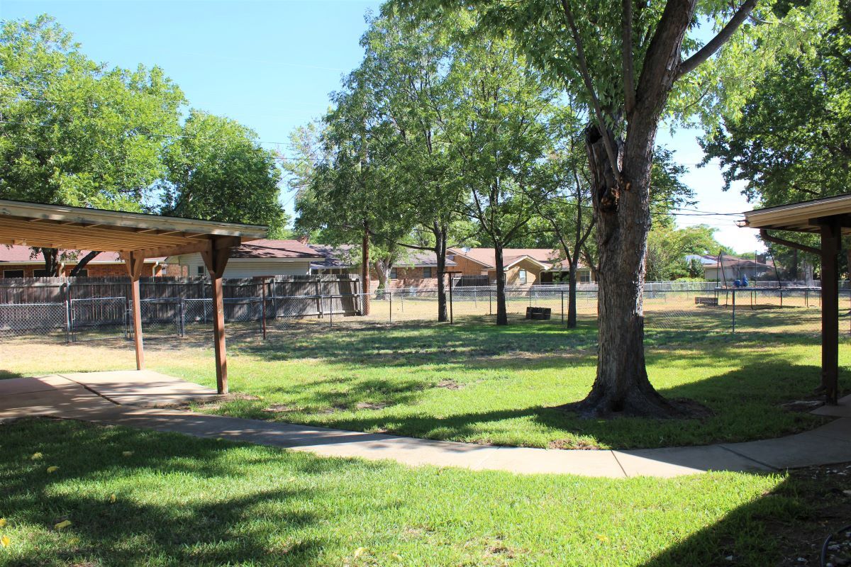Backyard - 1413 Center Dr