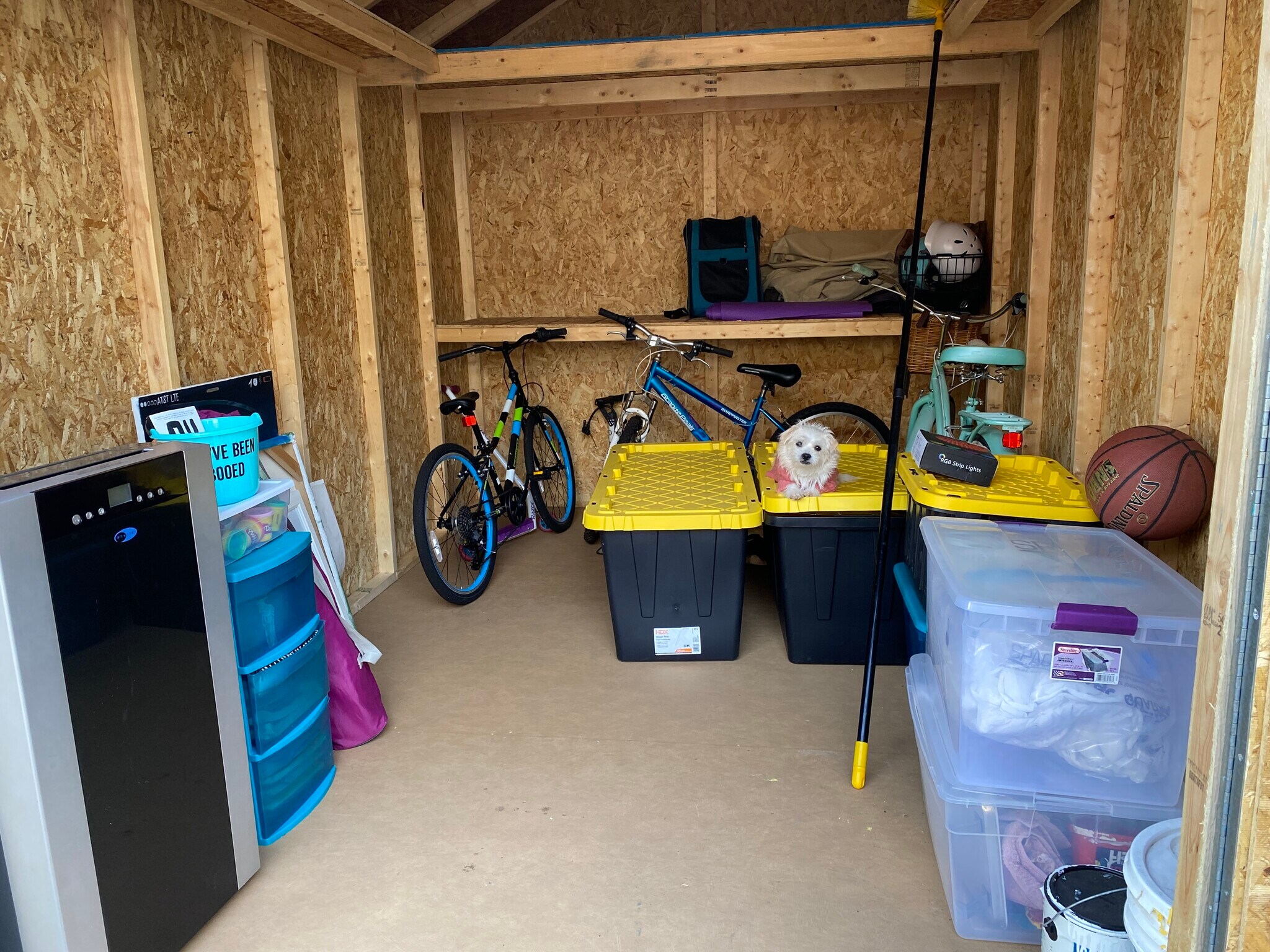 Shed has space for you too - 2445 Harrington Ave
