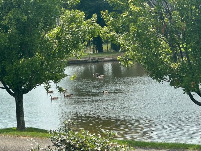 Building Photo - 3 Forest Lake Dr