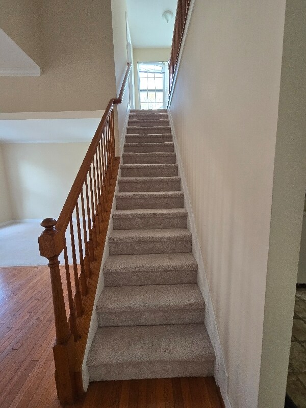 Building Photo - 5653 Cabinwood Ct