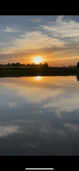 Building Photo - 4150 Viva Ln