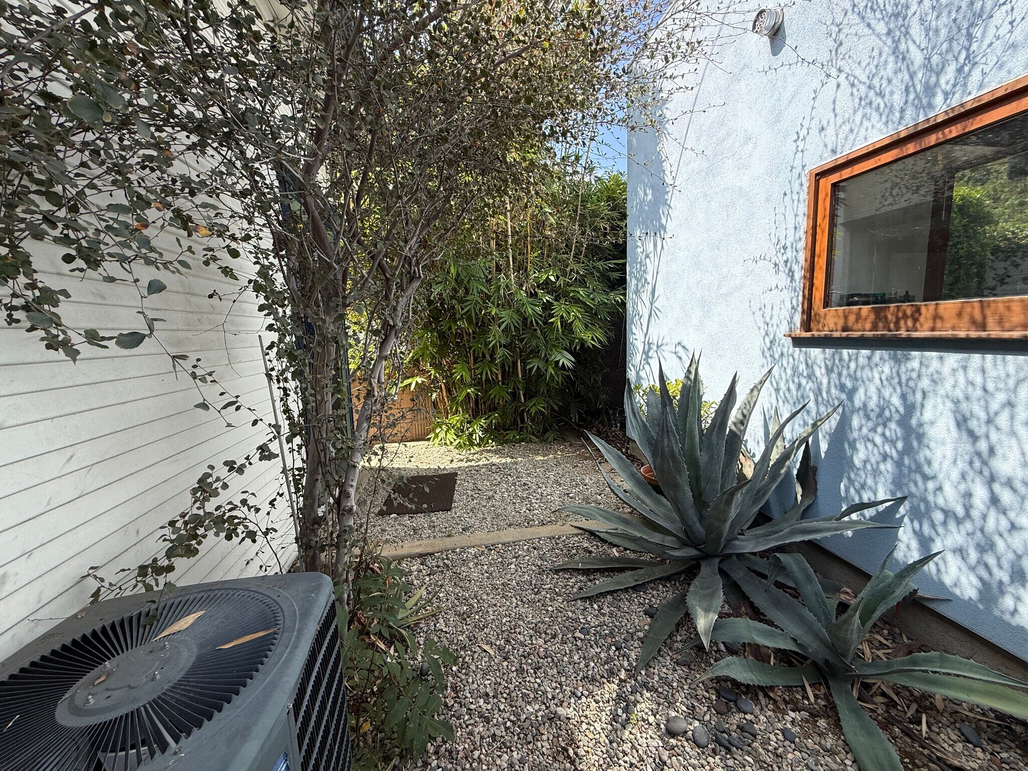 Building Photo - 629 Belmont Ave